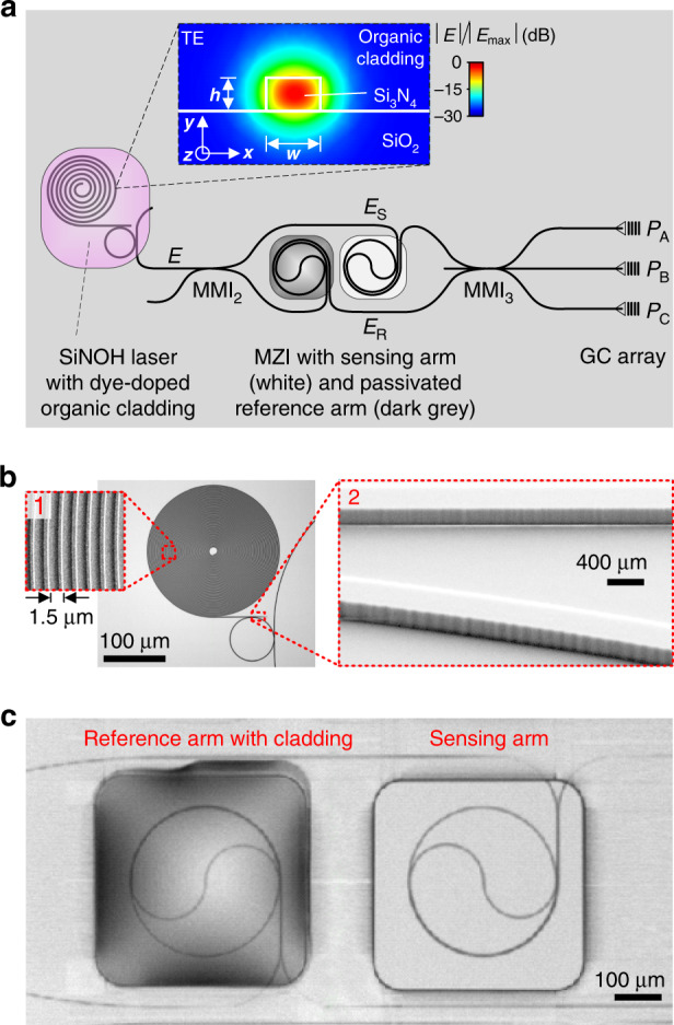 Fig. 2