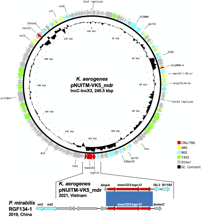 FIG 1