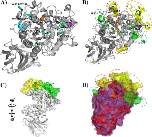 FIG. 4.