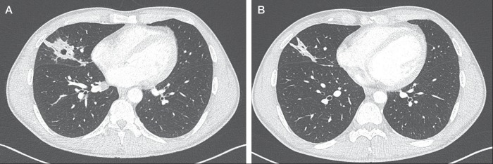 Figure 1)