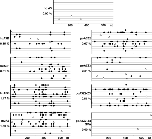 Fig. 10.