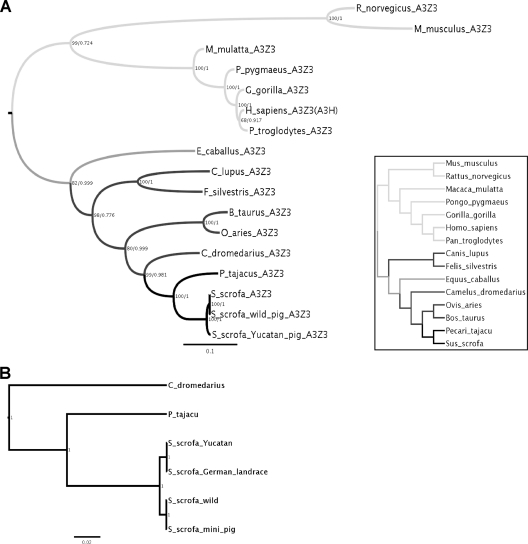 Fig. 5.