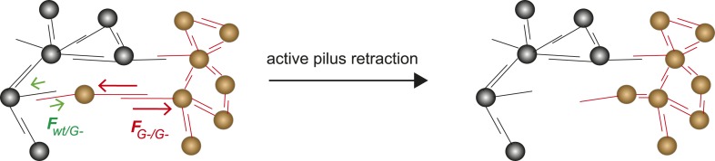 Figure 9.