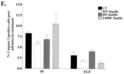 FIG. 8.