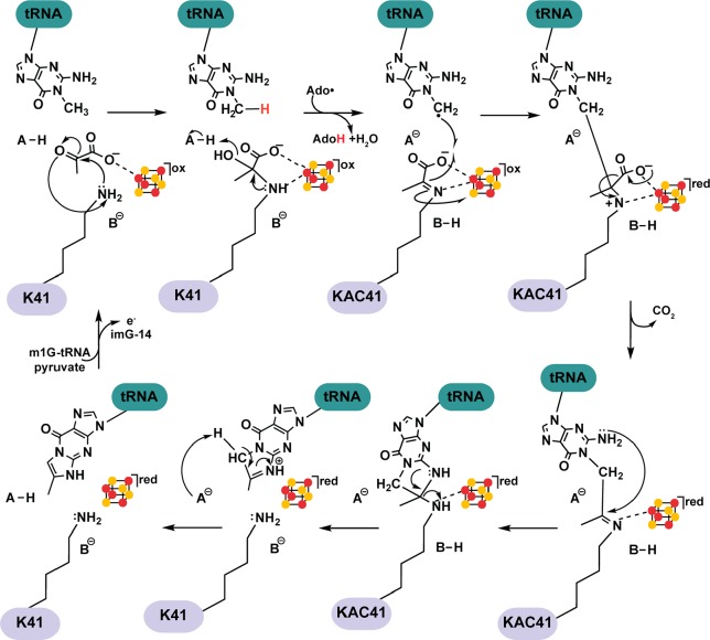 Scheme 3