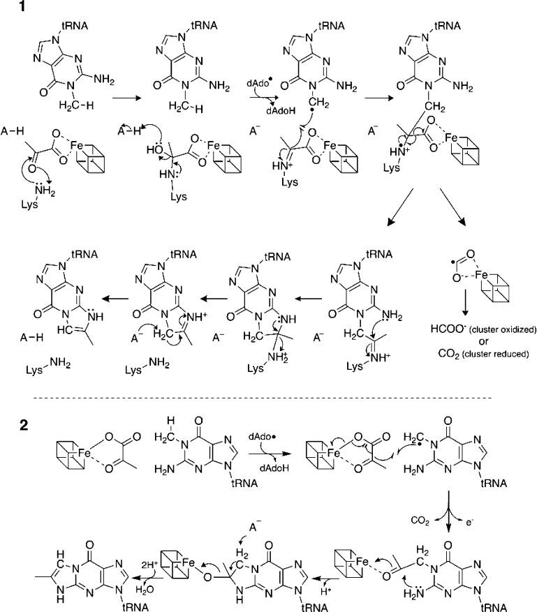 Scheme 2