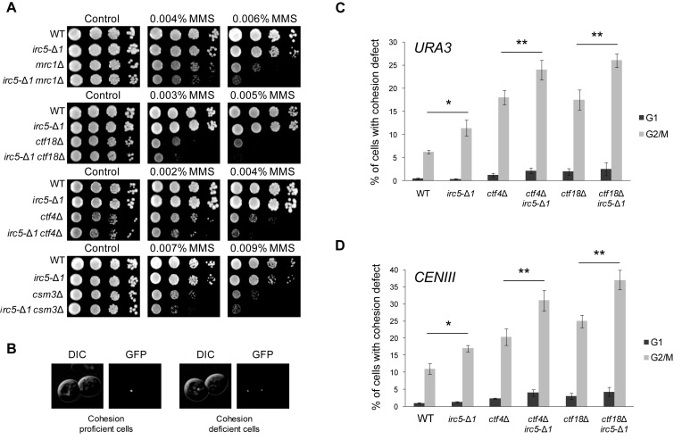 Figure 2.