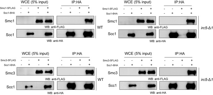 Figure 6.