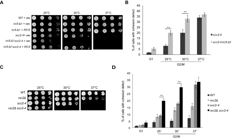 Figure 7.