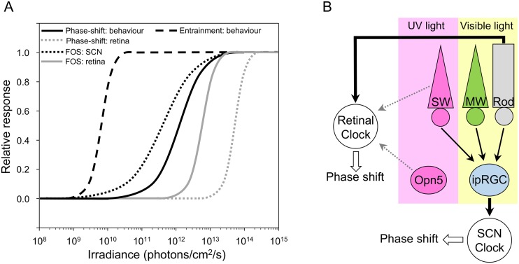 Fig 4