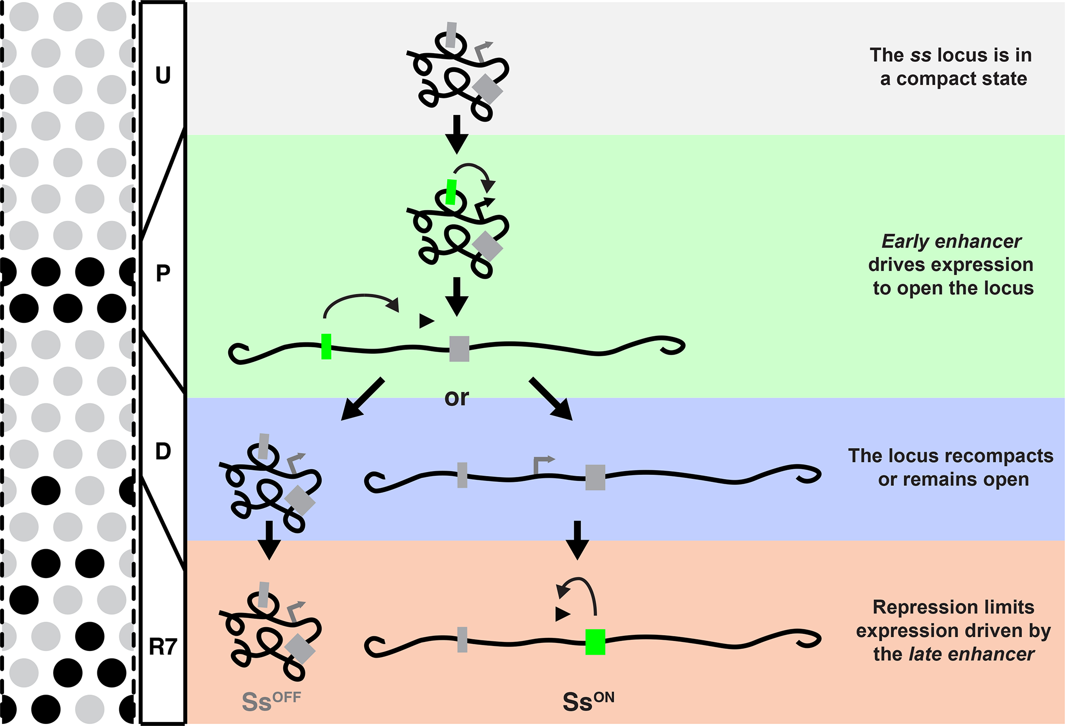 Figure 7.