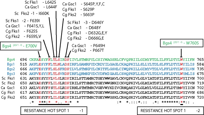 Figure 2.