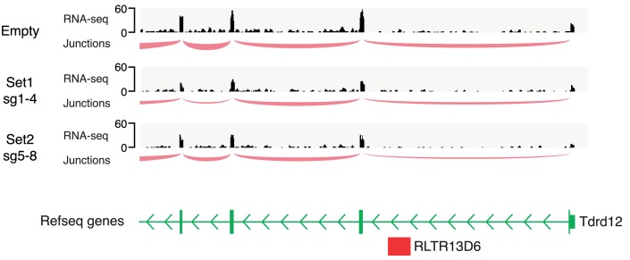 Figure 4—figure supplement 2.