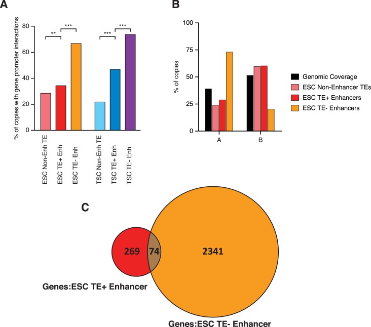 Figure 3—figure supplement 1.