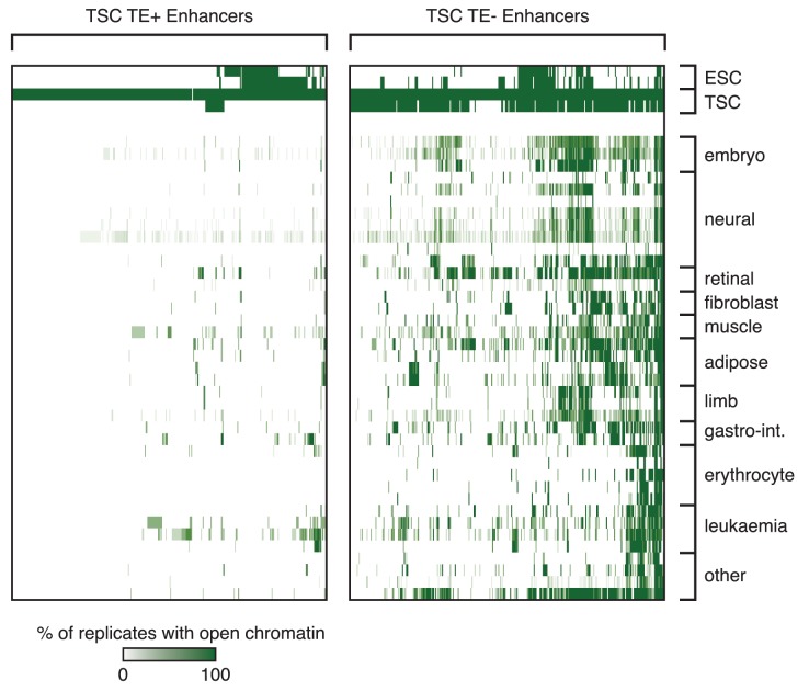 Figure 1—figure supplement 3.