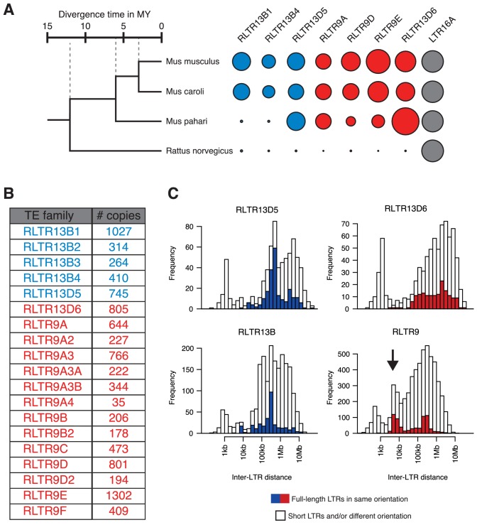 Figure 1—figure supplement 1.