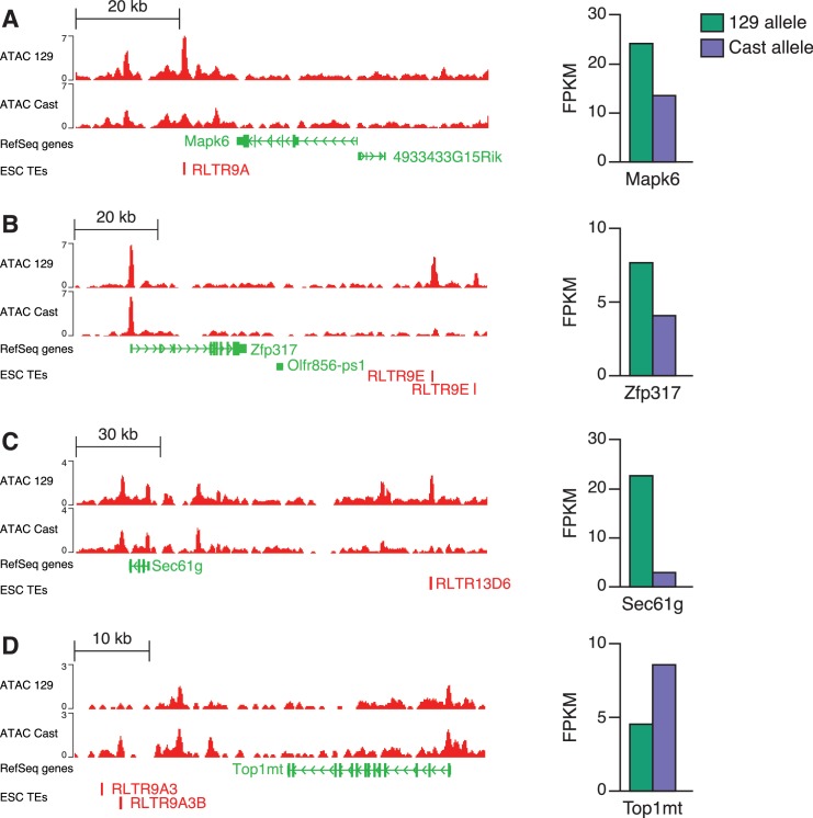 Figure 4—figure supplement 3.