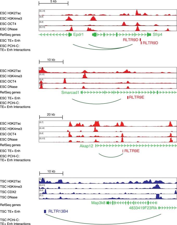 Figure 4—figure supplement 1.