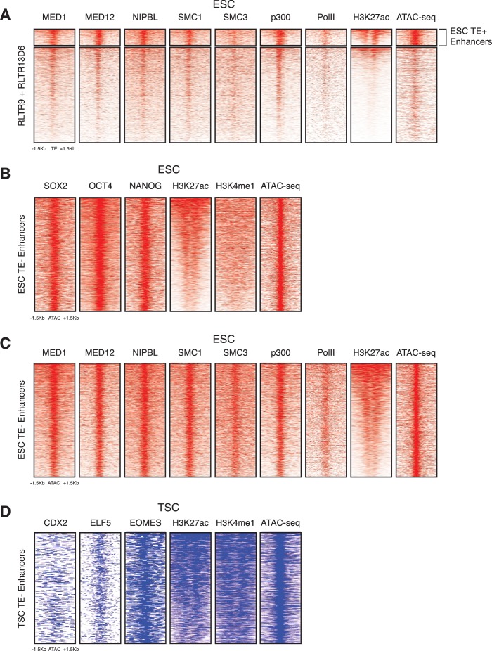 Figure 1—figure supplement 2.