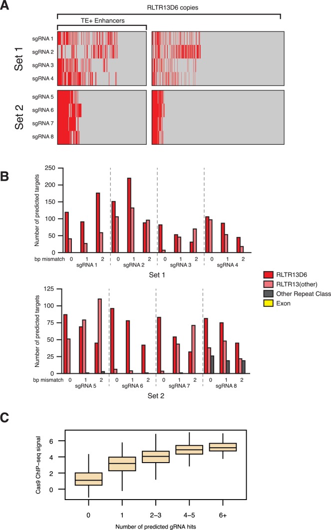 Figure 5—figure supplement 1.