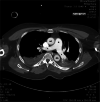 Fig. 4