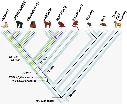 Figure 4