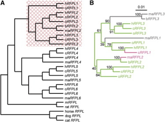 Figure 3