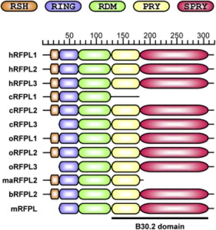 Figure 6