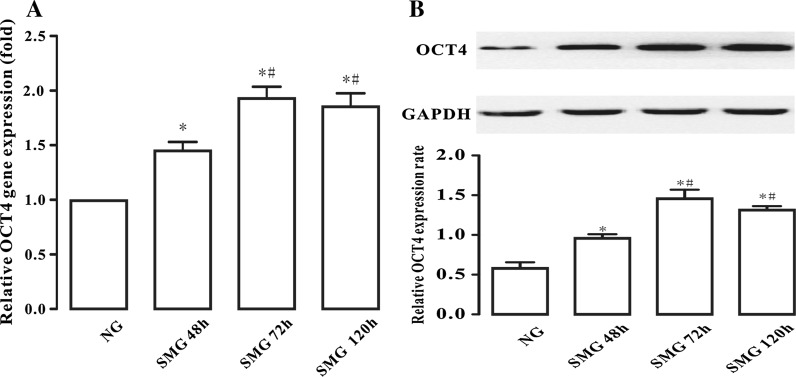 Fig. 3