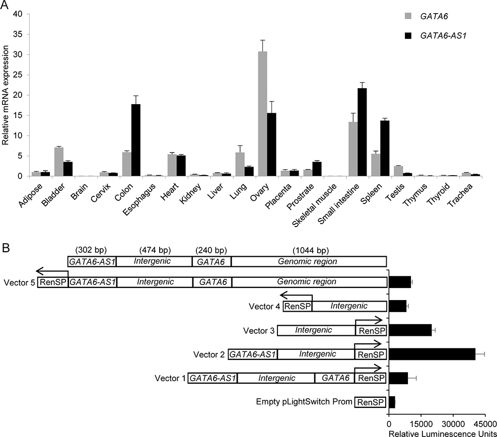 Figure 6.