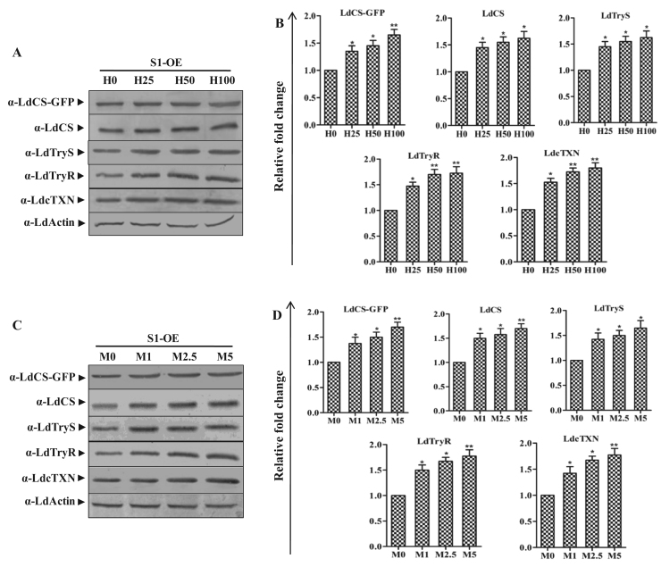 Fig. 8.