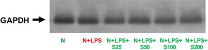 Fig. 11