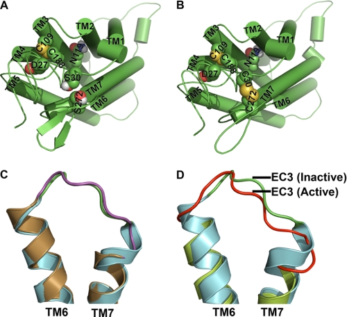 FIGURE 11.