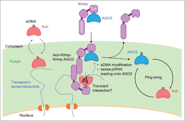 Figure 2.