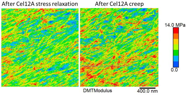 Extended Data Figure 5