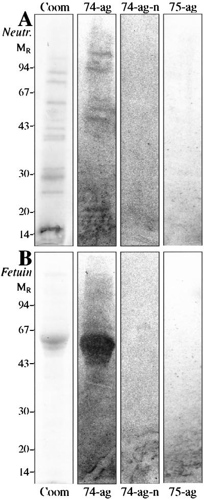 FIG. 3