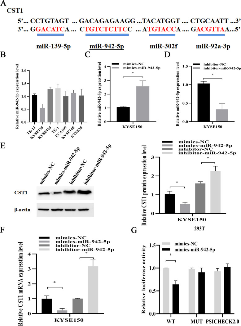 Fig 6