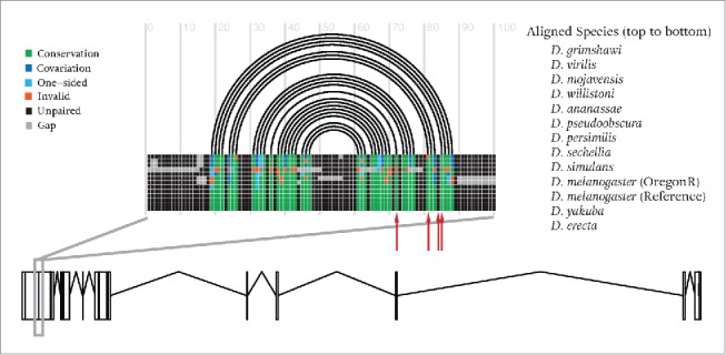 Figure 5.