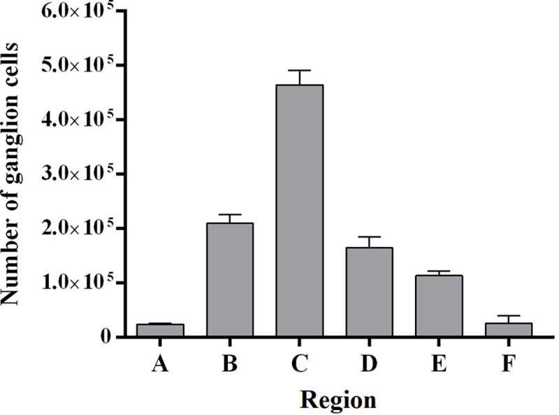 Fig 5