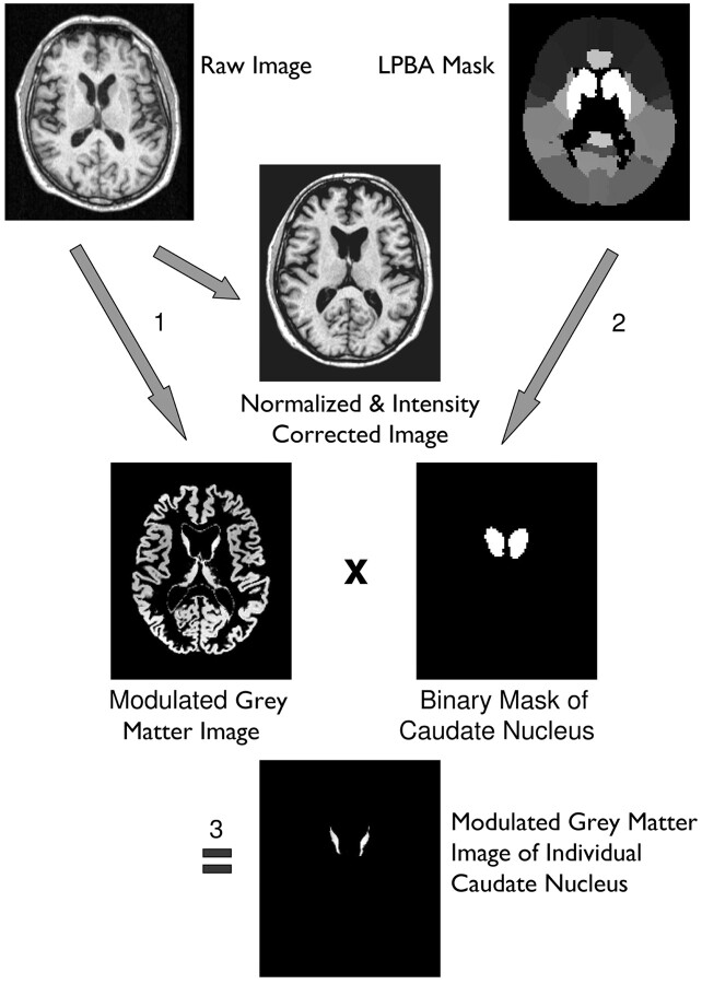 Fig 1.