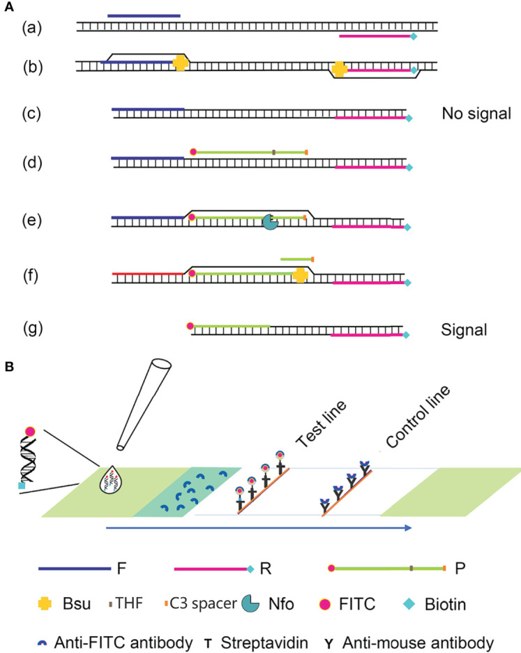 Figure 1