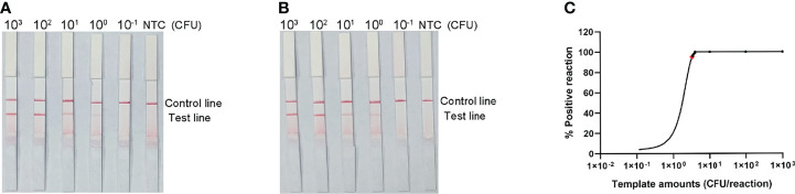 Figure 5