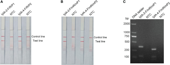 Figure 3