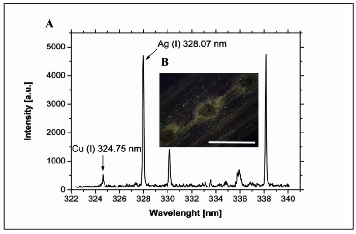 Figure 6.