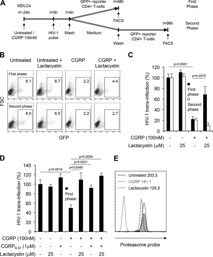 FIG 4