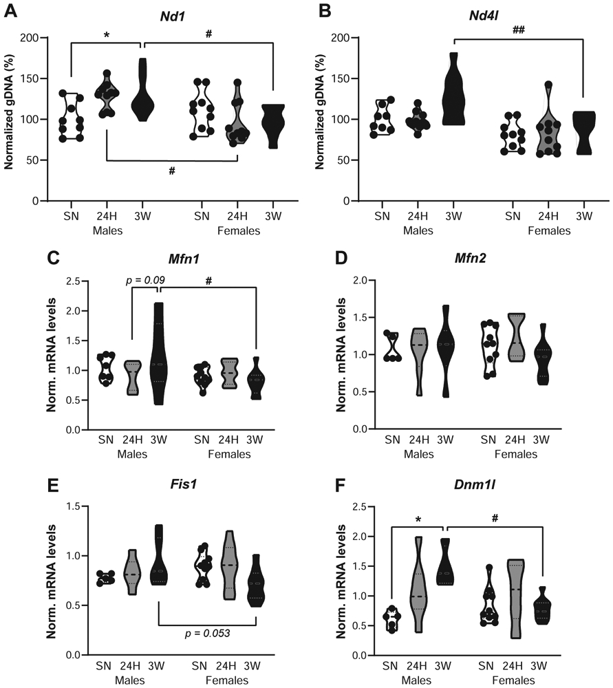 Figure 6.