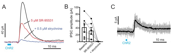 Figure 3—figure supplement 3.