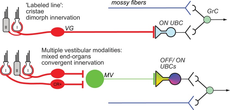 Figure 9.