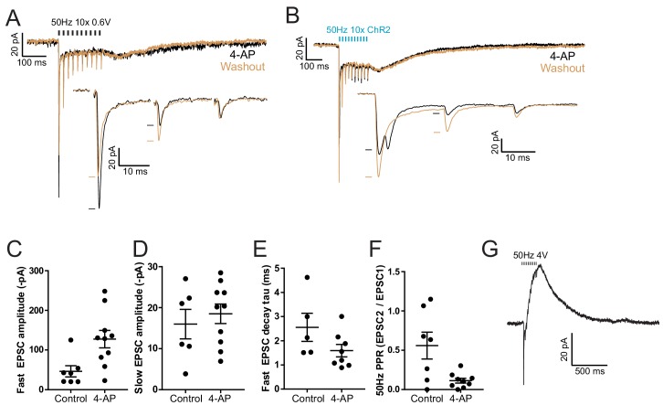 Figure 3—figure supplement 5.