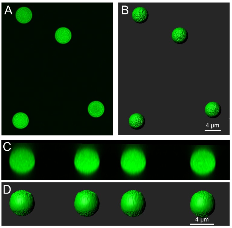 Figure 3—figure supplement 2.